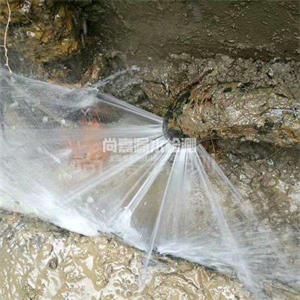 东昌府消防管道漏水检测